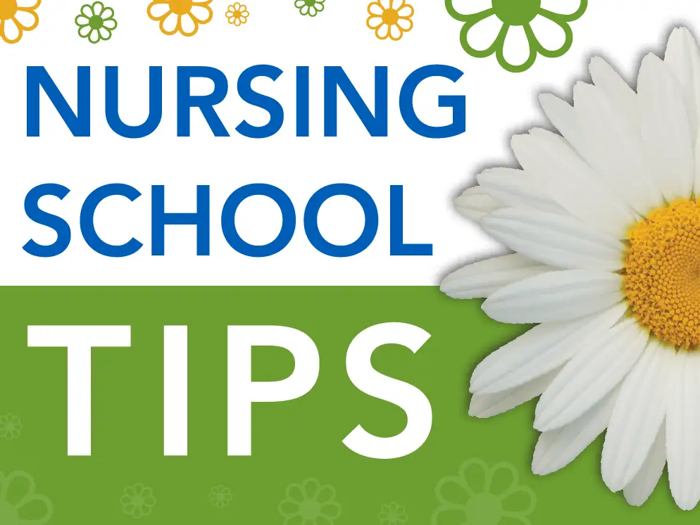 Decorative header image with daisy and green and white background